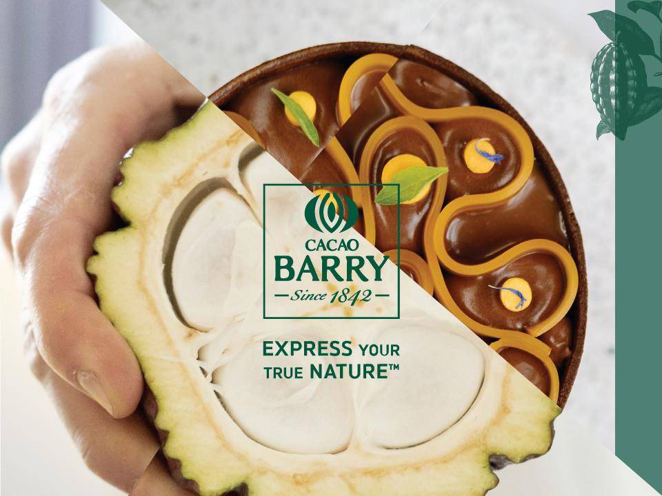 Cacao Barry Logo
