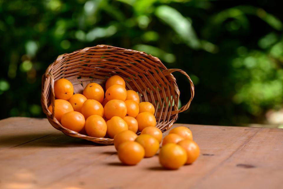 cesta com diversos cajás caindo na cor laranja