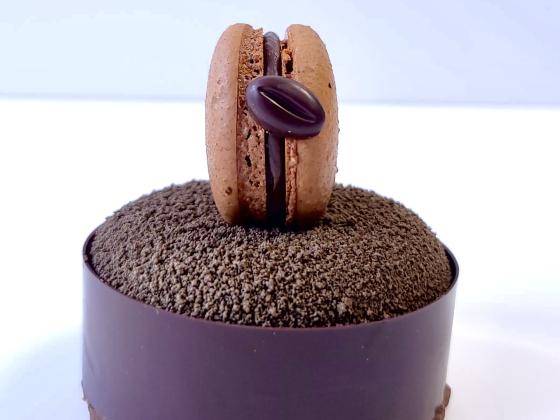 chocolate and coffee petit gateau